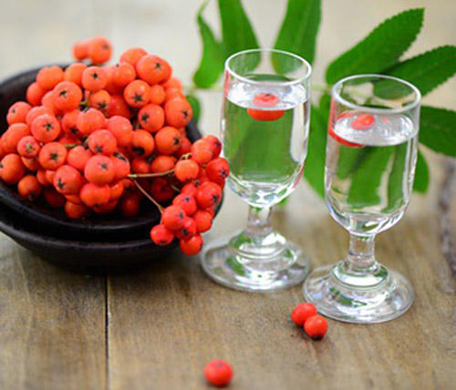 Terminankündigung: Bayern Brand Prämierung 2026