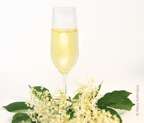 Holundersekt