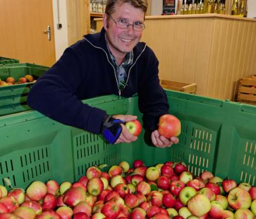 Neue Obstsorten für die Brennerei